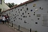 _DSC4800.jpg