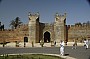 _DSC9610.jpg