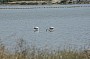 _DSC3044.jpg