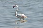 _DSC3050a.jpg