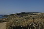 _DSC3189.jpg